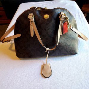 Signature Print Coach Carryall Bag